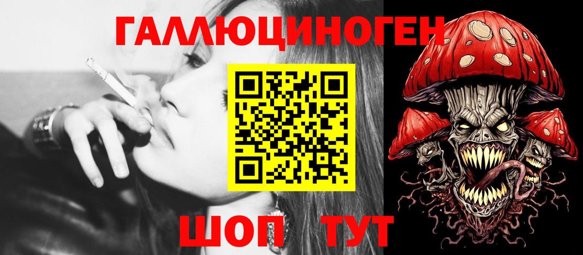 Дмитров  дарнет шоп  Вход с VPN  Псилоцибиновые грибы Psilocybine cubensis 
